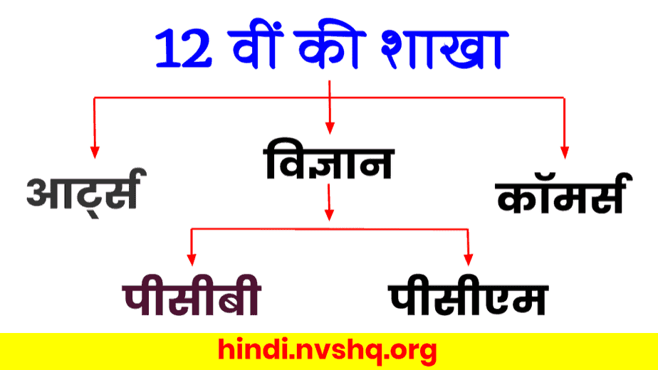 12th के बाद क्या करें, What to do After 12th, कौन सा कोर्स चुने,12th Ke Baad Kya Karen 4 12-वीं-के-बाद-क्या-करें