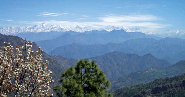 42 Tourist Places In Uttarakhand > उत्तराखंड में घूमने के लिए सबसे अच्छी जगहें 30 Abbott Mount Uttarakhand