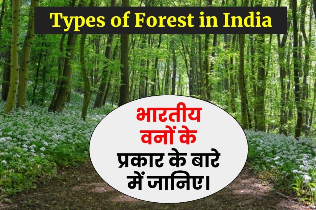 वन किसे कहते हैं, वनों के प्रकार, प्रमुख वन के नाम Forest in Hindi 3 वन किसे कहते हैं, वनों के प्रकार, प्रमुख वन के नाम Forest in Hindi