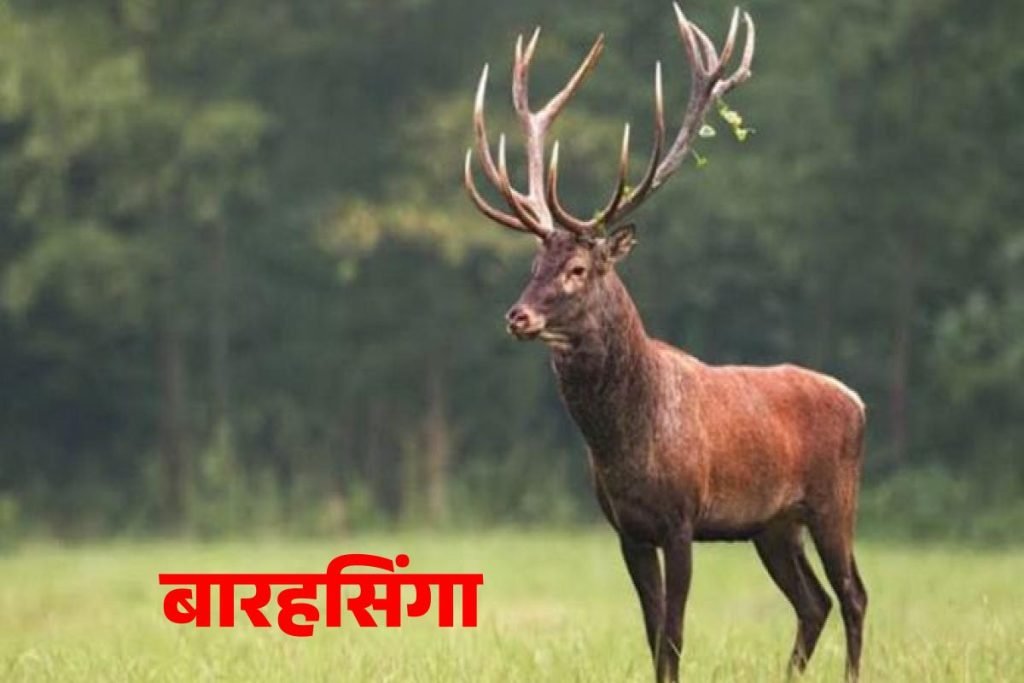 उत्तर प्रदेश के राजकीय प्रतीक पशु, पक्षी, वृक्ष, फूल, मछली 5 उत्तर प्रदेश के राजकीय प्रतीक पशु