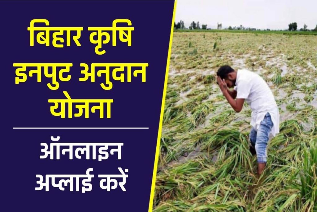 बिहार कृषि इनपुट अनुदान ऑनलाइन अप्लाई 2024 | Krishi Input Anudan Yojana 3 बिहार कृषि इनपुट अनुदान ऑनलाइन अप्लाई