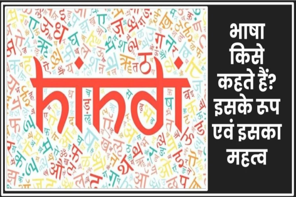 भाषा किसे कहते हैं? इसके के कितने रूप होते हैं एवं इसका महत्व क्या है 3 भाषा किसे कहते हैं? इसके के कितने रूप होते हैं एवं इसका महत्व क्या है