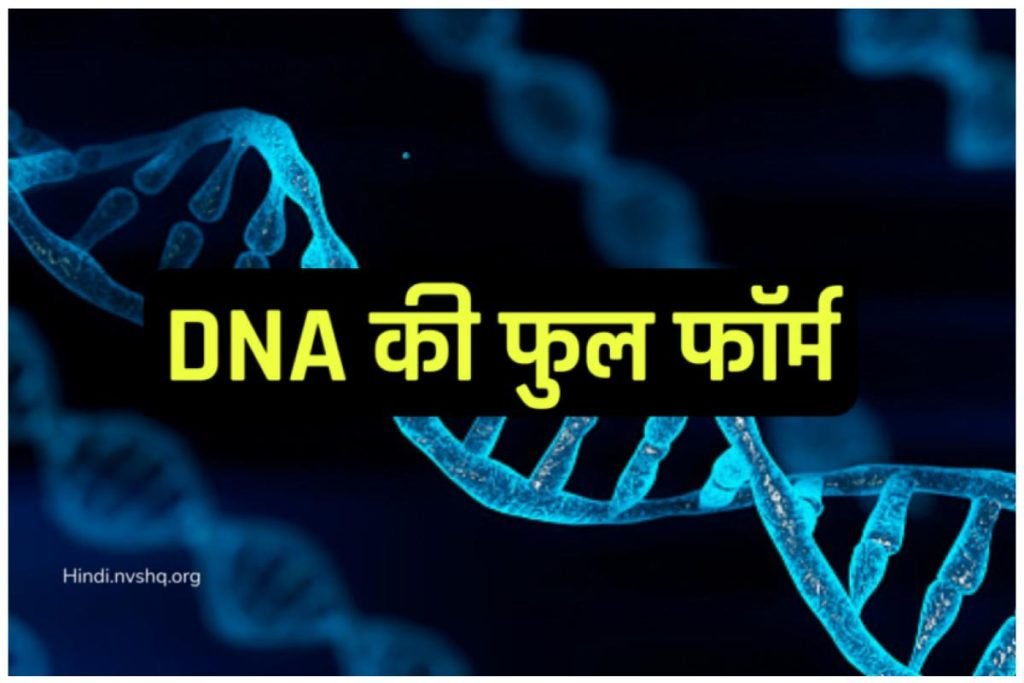 DNA Ka Full Form in Hindi | डीएनए (DNA) का मतलब क्या होता है 3 DNA Ka Full Form in Hindi | डीएनए (DNA) का मतलब क्या होता है