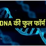 DNA Ka Full Form in Hindi | डीएनए (DNA) का मतलब क्या होता है 1 DNA Ka Full Form in Hindi | डीएनए (DNA) का मतलब क्या होता है