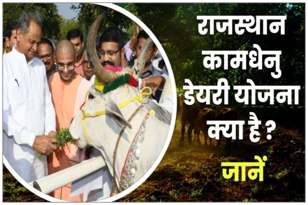 राजस्थान कामधेनु डेयरी योजना | Kamdhenu Dairy Yojana, Loan Application Form 3 राजस्थान कामधेनु डेयरी योजना | Kamdhenu Dairy Yojana, Loan Application Form