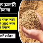 छत्तीसगढ़ में धान खरीद की MSP ₹3100 तय, ऐसे करना होगा आवेदन