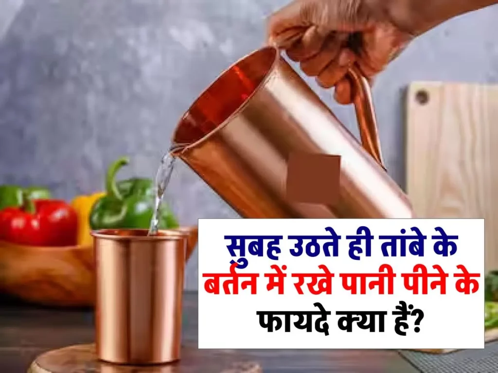 सुबह उठते ही तांबे के बर्तन में रखे पानी पीना सेहत के लिए फायदेमंद होता है? 3 सुबह उठते ही तांबे के बर्तन में रखे पानी पीना सेहत के लिए फायदेमंद होता है?