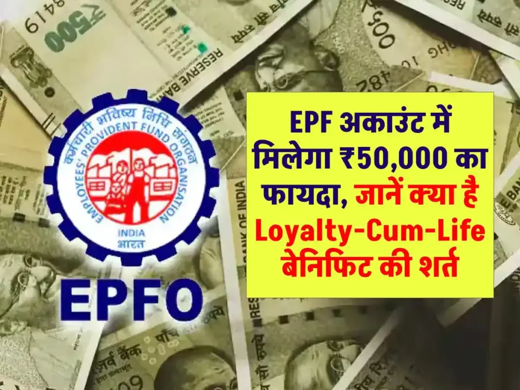 EPF अकाउंट में मिलेगा ₹50,000 का फायदा, जानें क्या है Loyalty-Cum-Life बेनिफिट की शर्त 3 EPF अकाउंट में मिलेगा ₹50,000 का फायदा, जानें क्या है Loyalty-Cum-Life बेनिफिट की शर्त