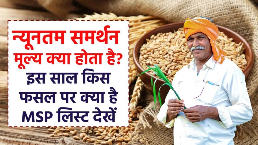 न्यूनतम समर्थन मूल्य क्या है? MSP 2024 नई सूची, Minimum Support Price 3 न्यूनतम समर्थन मूल्य क्या है? MSP 2024 नई सूची, Minimum Support Price